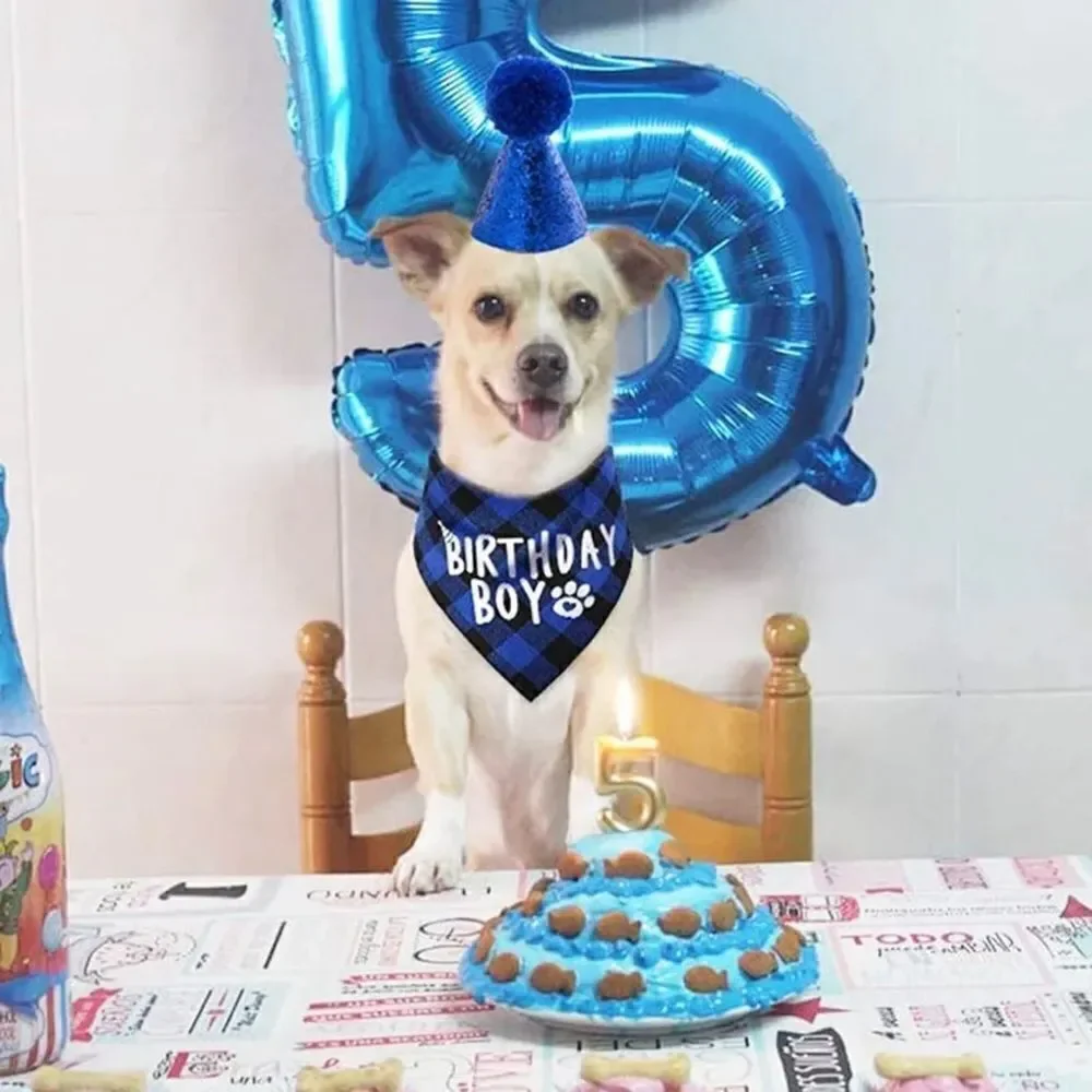 New dog birthday boy party accessories